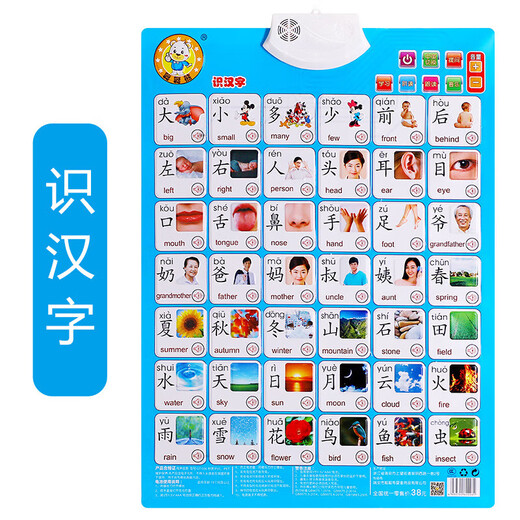 Chinesisches und englisches Congcong Bären Audio -Poster Kinder Englisch lernen Baby Kognitive frühe Bildung Pinyin Alphanumeric Toys English Alphabet
