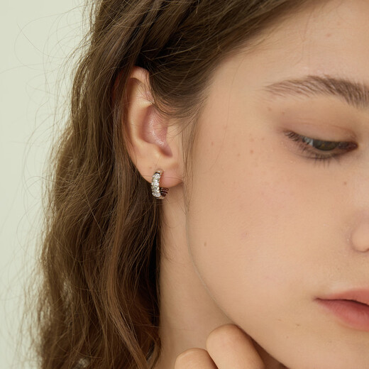 Arsis freely matches snake bone small earrings, women's fashionable simple earrings, versatile earrings as a gift for your girlfriend, snake bone small earrings - silver