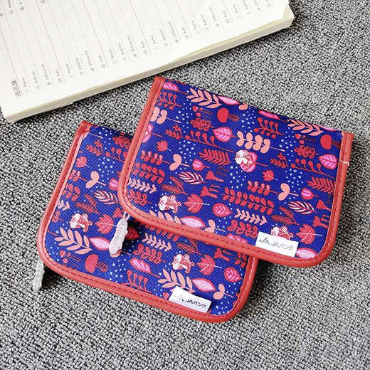 Jipin Diri Single Little Squirrel Sac de passeport de voyage Femelle Sac de rangement de compte Feme