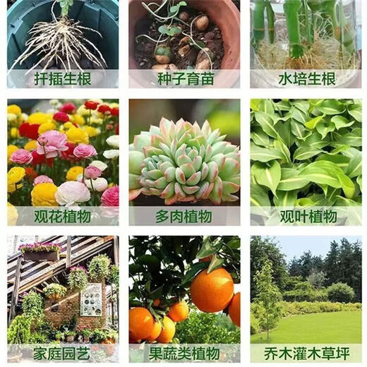 Powerful Rooting Powder Rapid Rooting and Seedling Strengthening Agent Rooting Powder Rapid Rooting Powerful Rooting Liquid Rooting Powder for Transplanting Rooting Powder 1 Jin Jin is equal to 0.5 kg, 1 pack