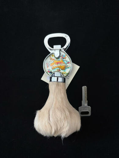 Ouoety Kangaroo Bierflaschenöffner Känguru -Eierflaschenöffner hergestellt personalisierte Geschenkreisen Souvenir Spot 1047ff in Australien gemacht/Special