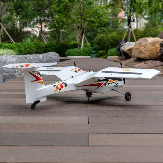 Aircraft Sawang Seagull Bionic bionic oiseau d'oiseau d'oiseau d'air Hélicoptère Hélicoptère Plan de parc à ailes fixes à double moteur bon