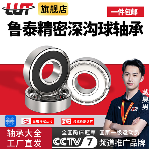 Harbin Bearing 6200 6201 6202 6203 6204 6205 6206 6207ZZ RS 6202 iron cover (imported quality) others