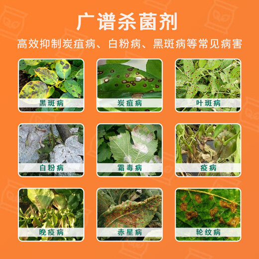 Guoguang Carbendazim Plant Flowers Succulent Fruit Trees Vegetables Powdery Mildew Leaf Spot Universal Preventive Fungicide Guoguang Carbendazim 50g*1 bag/delivery spoon