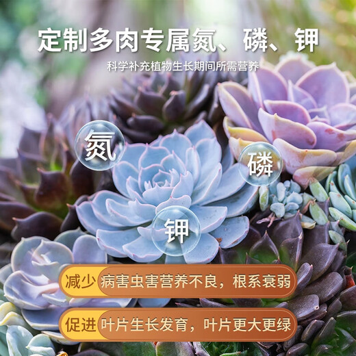 Succulent fertilizer special fertilizer nutrition granules for household flower potting nitrogen, phosphorus and potassium compound long-acting controlled-release fertilizer slow-release fertilizer 1 pack individually packaged