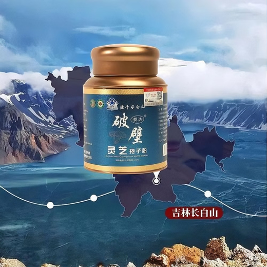 Changbäishan Linzhi -Sporenpulver schützt die Leber und reguliert den Schlaf, um die Wand Ganoderma Lucidum Spore Pulver zu helfen