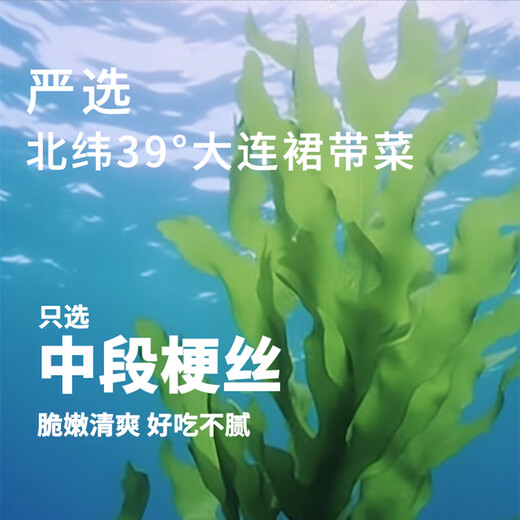 Wakame agridulce inigualable, 150 g * 5 bolsas Ensalada de algas Repollo frío Algas marinas Ingredientes para sushi Cena del Festival del Medio Otoño