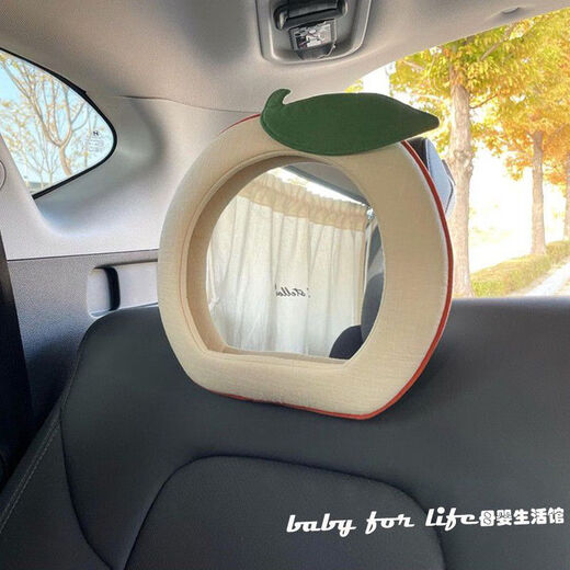 INSEREAN CAR BABY BABY SAGINE SEAGHT SHATE APPL