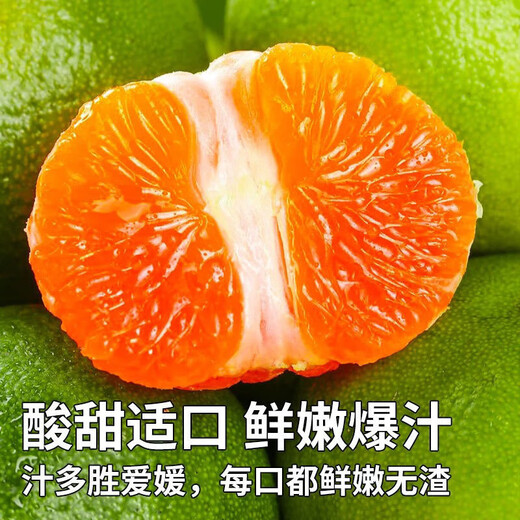 新鲜青皮云南蜜橘当季中果薄皮桔子应季新鲜采摘整箱 蜜桔中果带箱1斤