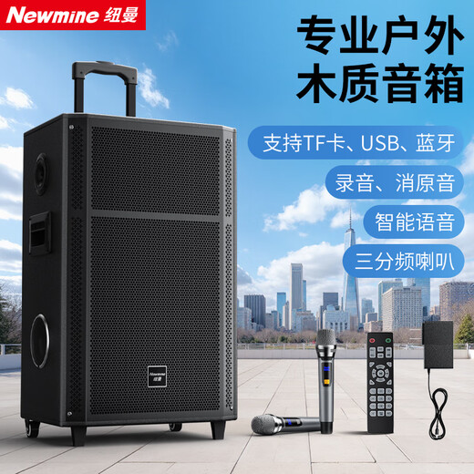 Newmine N528 15-inch square dance Bluetooth speaker high-power outdoor mobile portable trolley home karaoke high-volume wireless audio super long battery life dual microphone 15 speakers