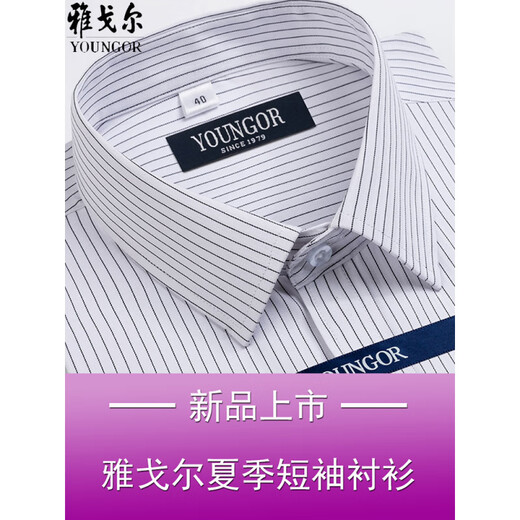 CEO雅戈尔男士短袖衬衫夏季商务休闲职业正装棉免烫中年大码条纹衬衣 短袖DX6624 38