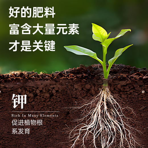 Jinyate plant nutrient solution universal hydroponic green plant flower potted money tree green radish succulent concentrated liquid fertilizer 2500ml