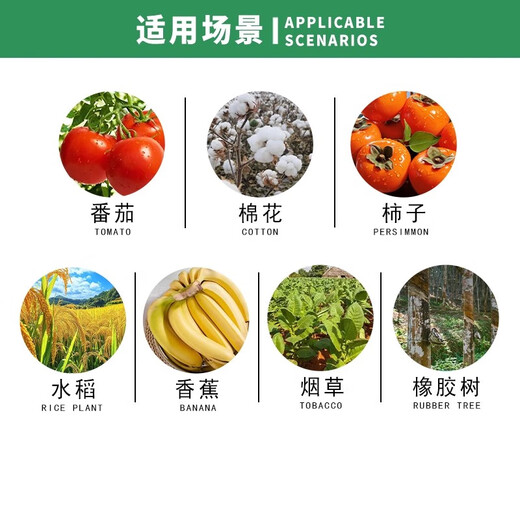 Huayi Feiling 40% Ethephon Walnut Banana Persimmon Tomato Rice Ripening Agent Pesticide Plant Growth Regulator 350g