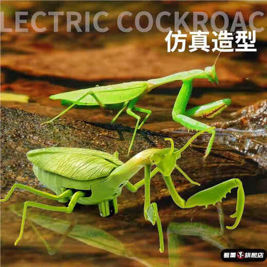 Fernbedienung Mantis Elektrische Simulation Spielzeug Streich Artefakt Kakerlach Junge Moves Spider Crawling Animals Klassische Version - Fernbedienungs -Ladykäfer Red 9922+ Schraubendreher