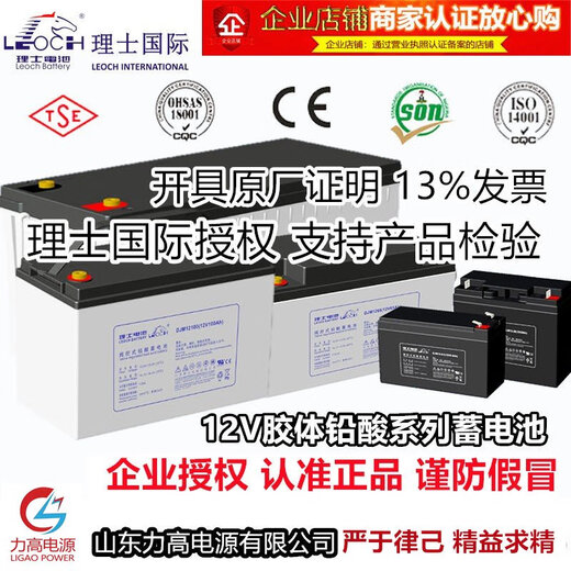RIS -Batterie DJM12V100AH65AH38A24A200A Solar Ups Elevator Notfallkolloid -Batterie DGM12200/12V200AH RIS -Unterstützung Inspektion