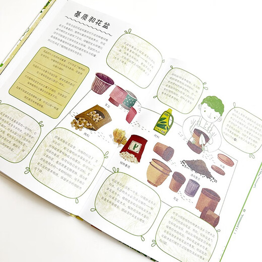 How to keep green plants alive