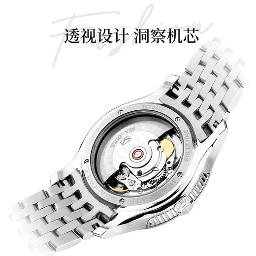 Seagull Watch Men's Watch Casual Business Machinery Watch Waterproof Single Calendar Fully Automatic Steel Band Watch 1048 Stick Black Belt
