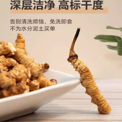 冬虫夏草断草大断草送父母长辈老人滋补营养品年货礼品断虫草 10克断虫草