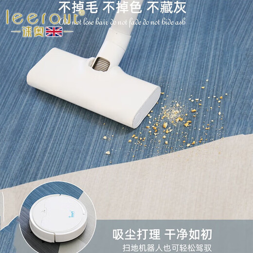 徕奥leerout客厅地毯免洗可擦沙发地垫大面积全铺房间高级感家用防水 简约15601号 1件 230CM*160CM 三防新升级
