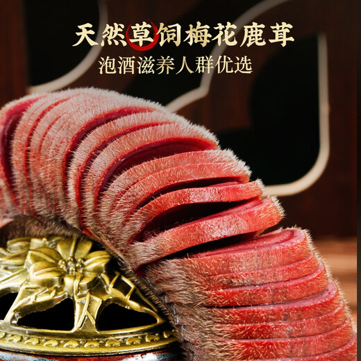Yilu Sika Deer Fresh Deer Antler 100g of the first stubble with blood in the middle and upper section of the second bar, cut into wine and medicine material straight from the source