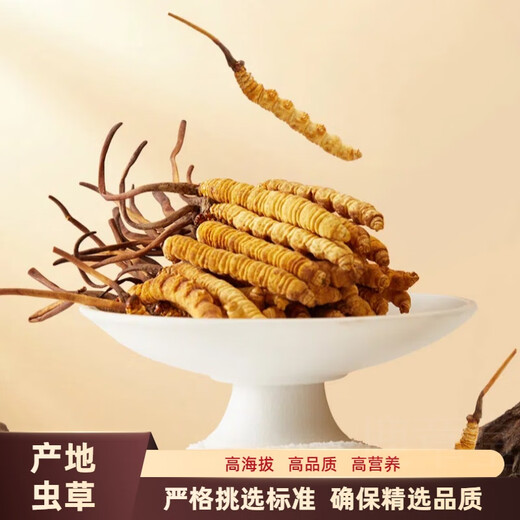 La nueva caja de regalo de Cordyceps seca Cordyceps seca de Kangsil para dar regalos para nutrir y nutrir la calidad de selección de Cordyceps para los ancianos Tíbet Nagqu Cordyceps de aproximadamente 2 piezas/gramos de 100 piezas (caja de regalo)