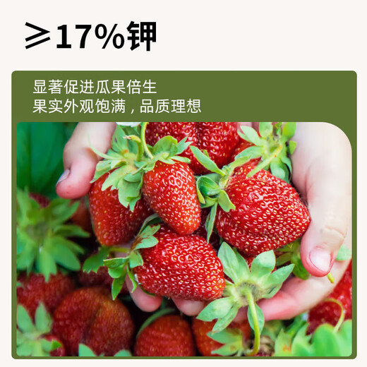 Abono especial para arándanos y fresas, solución nutritiva para mejorar el curvado y la caída de las hojas de los árboles, abono soluble en agua tipo fruta, abono compuesto orgánico, 20 paquetes, envasado individualmente - con paquete de prueba