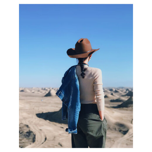 Lee dprre American Western Cowboy Hat Retro Fine Wool Men's Hat Hard Wide Brim Outdoor Camping Prairie Women's Hat Riding Hat Black M (56-57cm) Hard