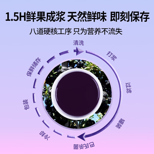 Black Wolfberry Pulp Qinghai Seafood Fruit Wolfberry Raw Liquid Anthocyanin NFC Beverage 30ml Vitamine Nourishing and Health DH Black Wolfberry Raw Pulp 3 sacs (30 ml * 3 sacs)