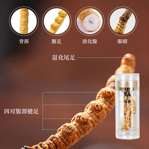 胡庆余堂冬虫夏草0.9g/瓶礼盒滋补品营养品送礼送长辈送父母 10瓶礼盒装（新老包装交替发）
