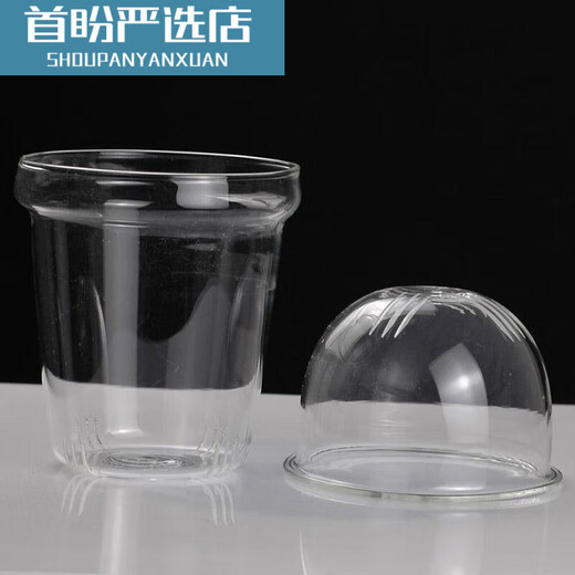 Zhewe 1 Glas Tee Leck Glasdeckel Innerer Liner Teekannenzubehör kann mit Topfdeckel Deckel Deckel Filter Tee Leck PJ-101 Medium PJ-11975 Dämpfung und Kochen integriertem Dampfteil ausgestattet werden