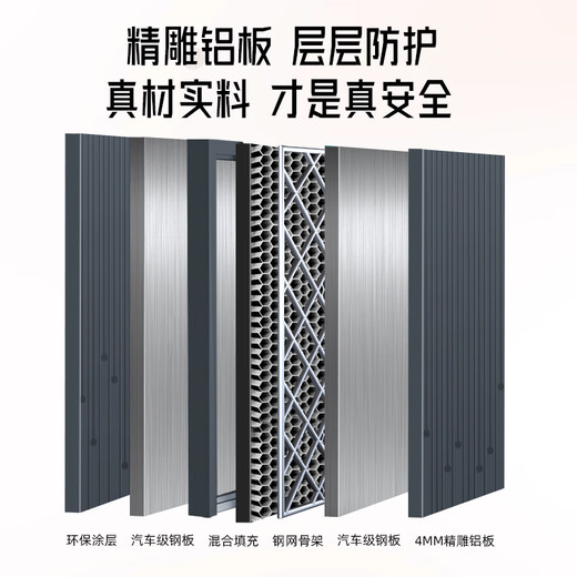 WL王力4级新款铸铝门防盗门家用入户门进户门智能子母门单门大门A200 带屏智能锁（P50升级） 单门2250*1050