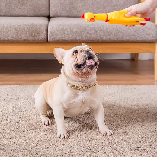 Screaming Chicken Screaming Chicken Dog Resistant Bite Toy Chicken Desperate Fighting Chicken Pet Sounds Single Pack Screaming Chicken Single Pack