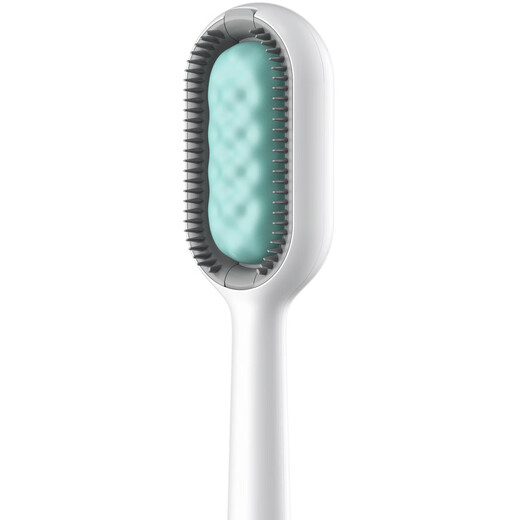 Crazy owner’s water-injected cleaning and hair removal comb. The water-injected cleaning comb can add no-rinse essence. Dog and cat comb with blue long hair.