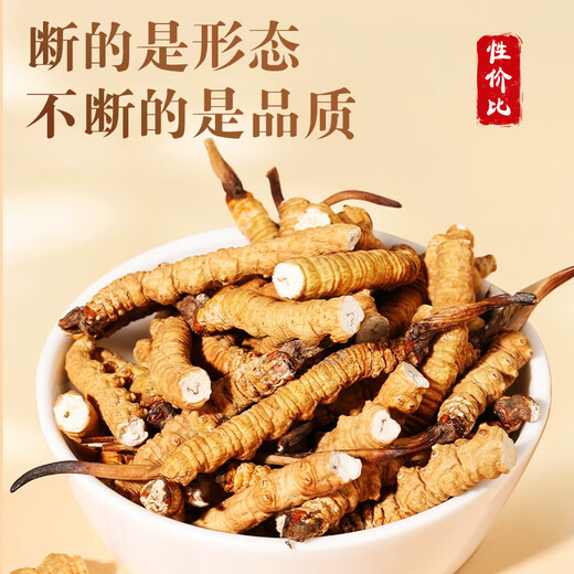 Shanwei Cordyceps sinensis 1g Grass Broken Hergle lyophilisé High-Clean Cordyceps sinensis à haute altitude auto-utilisation abordable (5-7 pièces 1 gramme)