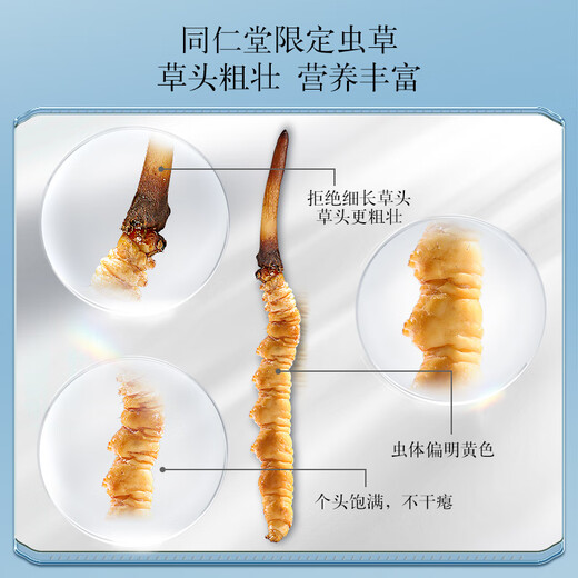 Tongrentang Brand Beijing Tongrentang Fresh Cordyceps Cordyceps Cordyceps Boîte-cadeau Fresh Cordyceps sans cadeaux de l'herbe cassée pour les aînés 1 boîte 40,5g 3a Cordyceps frais 50 0,8-1 G / T