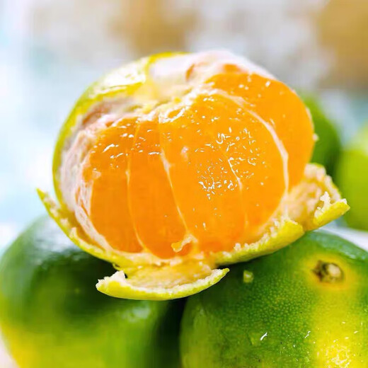 新鲜青皮云南蜜橘当季中果薄皮桔子应季新鲜采摘整箱 蜜桔中果带箱1斤