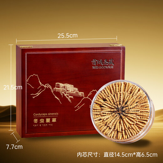 
3 Cordyceps sinensis/g 50g 150 roots high-altitude dry Cordyceps sinensis head period Cordyceps nourishing gift box