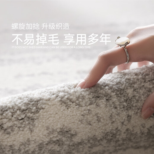 Saibos genuine moonlight gem waterproof glue-free carpet high-end light luxury mid-century style anti-fouling living room sofa cushion 1.9X3M