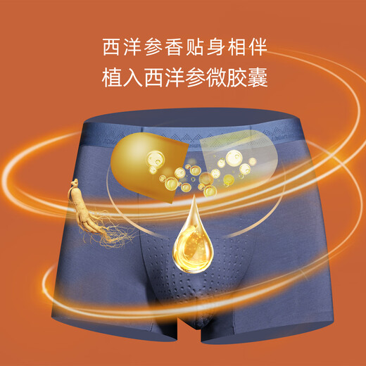 Roman Century's Father Day Box Regal Ratsen Ginseng Mantenimiento Inner Boxer de color acero inoxidable modal transpirable sin aliento