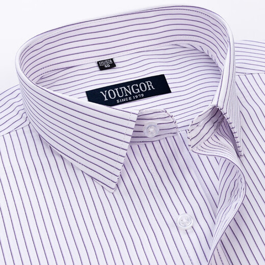 CEO雅戈尔旗舰短袖衬衫男中年商务休闲条纹免烫抗皱高端正装纯色纯棉 DX6621 44 建议【180-195斤】