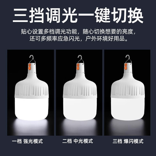 Biuyum led rechargeable light bulb outdoor power outage emergency lighting portable hanging light wireless plug-in-free super long battery life H160 100mm