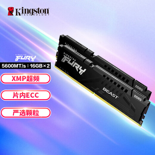 Kingston FURY 32GB (16G 2) Set DDR5 5600 Desktop Memory Beast Beast Series Hacker God