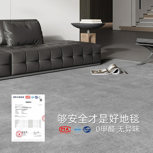Sanqihu tapis salon 2024 Nouvelle couverture de canapé de luxe léger sans laver la couleur épaissie de couleur de couleurs de couleurs de lit de lit gris tapis de sol gris dongyan-16780 1 pièce 140 cm * 200 cm