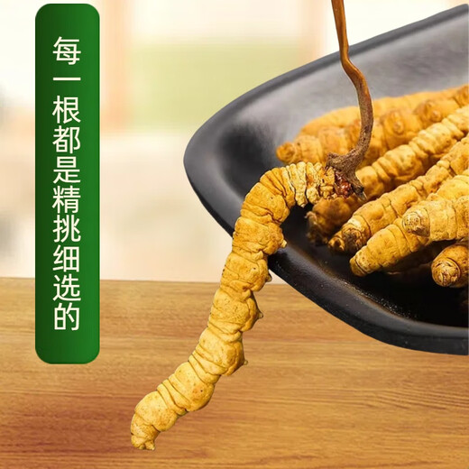 La nueva caja de regalo de Cordyceps seca Cordyceps seca de Kangsil para dar regalos para nutrir y nutrir la calidad de selección de Cordyceps para los ancianos Tíbet Nagqu Cordyceps de aproximadamente 2 piezas/gramos de 100 piezas (caja de regalo)