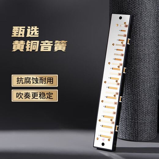 国光24孔初学入门级带音阶纪念版复音口琴C调（中国红）礼盒装
