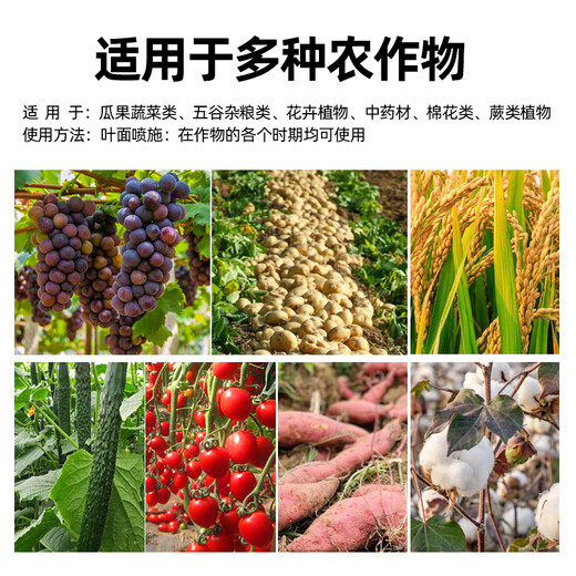Guanlong Agricultural Chemical mineral source potassium fulvic acid export-grade water-soluble fertilizer fully water-soluble rooting fertilizer agricultural humic acid soil conditioning mineral source potassium fulvic acid 1kg*10 bags