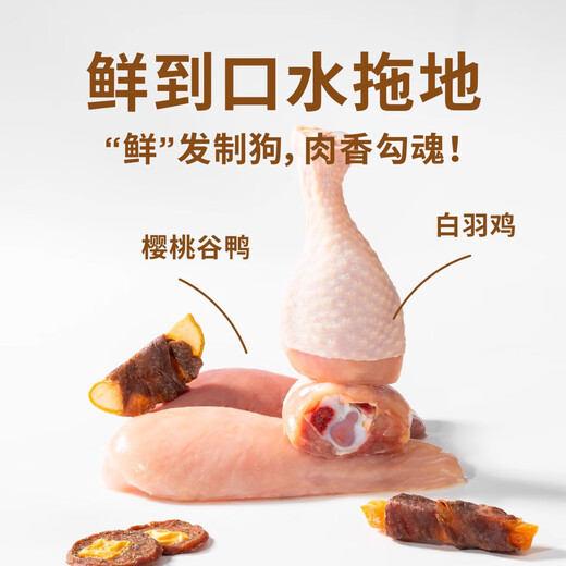 
LEGENDSANDY Blue Dog Snack Gift Pack Duck Meat Duck Meat Bit Bite-resistant Pet Large Dog Snack Gift Box Teeth Grinding Stick [Snack Gift Box] Dog Miaomiao House 835g