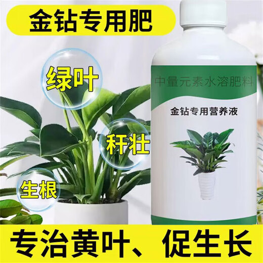 Daye Golden Diamond Special Nutrient Solution Red Diamond Green Princess Yellow Leaf Hydroponic Plants Indoor Potted Green Plants Organic Liquid Fertilizer Golden Diamond Nutrient Solution 300ml/bottle 3 bottles Limited time special price