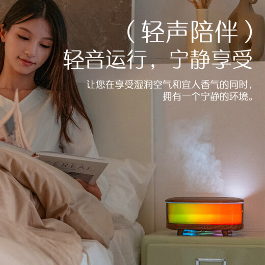 Seguo's new aromatherapy machine humidifier atmosphere night light home desktop small spray humidifier essential oil diffuser light sound operation creative and practical Christmas birthday gift for men and women H27 aromatherapy machine atmosphere night light + three-speed timing + remote control