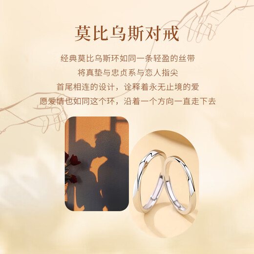ALLOVE Mobius Couple Ring Men's and Women's Proposal Silver Pair Ring Birthday Gift for Girlfriend and Wife Practical Wedding Gift